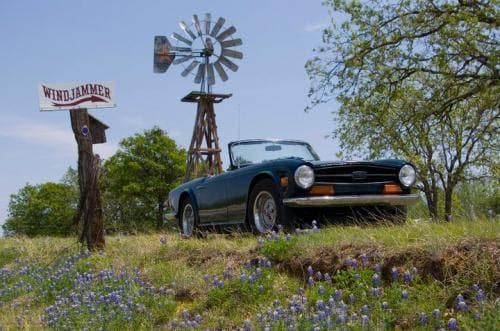 1973 TR6