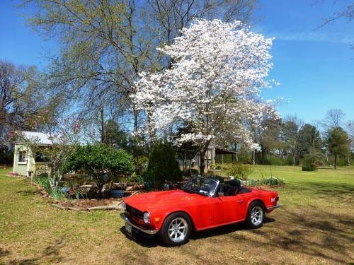 1973 TR6